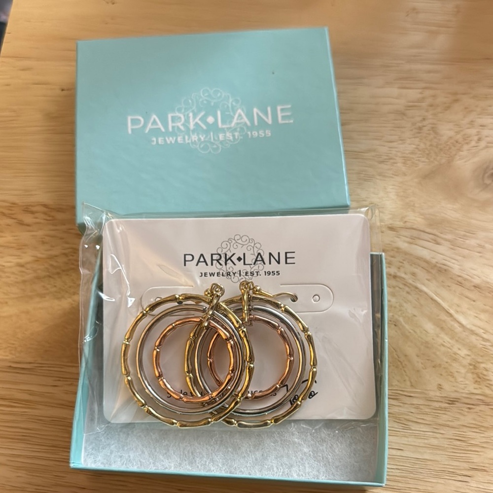 Park Lane Gold and Silver Hoop Earrings